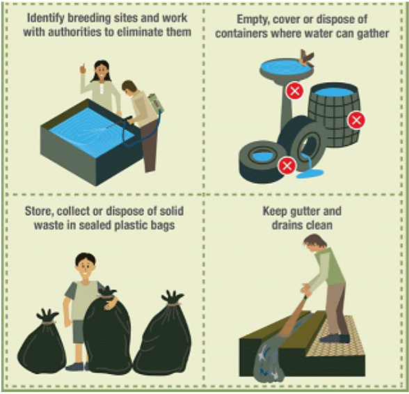 NCERT Solutions for Class 5 EVS Chapter 8 - A Treat for Mosquitoes