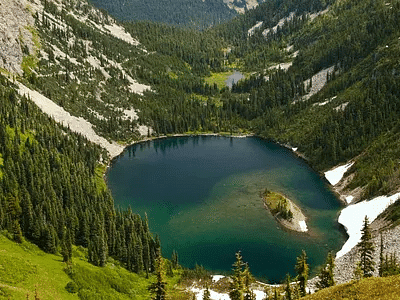 NCERT Solutions for Class 5 EVS Chapter 20 - Whose Forests?