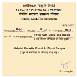 NCERT Solutions for Class 5 EVS Chapter 8 - A Treat for Mosquitoes