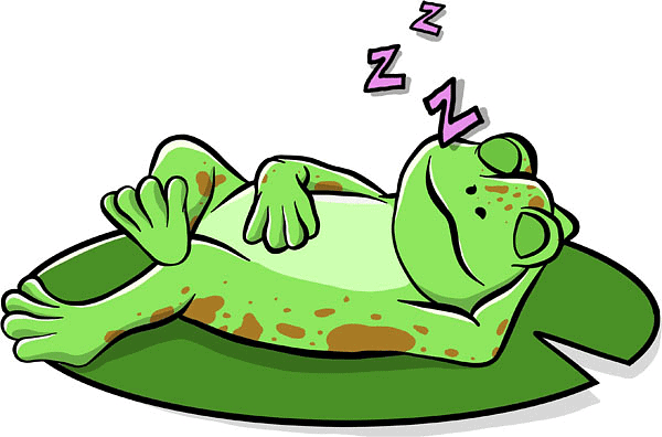 NCERT Solutions for Class 5 English Marigold Poem 5 - The Lazy Frog