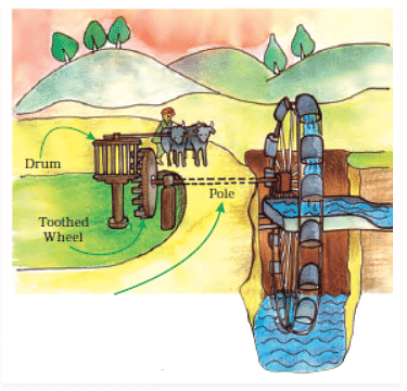 NCERT Solutions for Class 5 EVS Chapter 10 - Walls Tell Stories