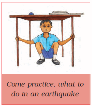 NCERT Solutions for Class 5 EVS Chapter 14 - When the Earth Shook