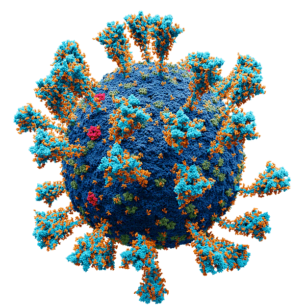Class 8 Science - Question Answers Microorganisms Friend or Foe