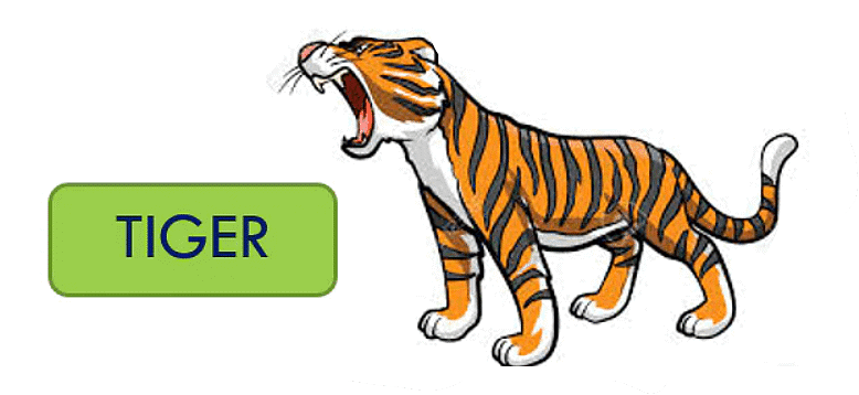 Super Senses Class 5 Notes EVS Chapter 1