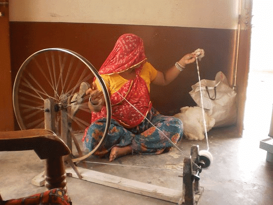 A seed tells a Farmer`s Story Class 5 Notes EVS Chapter 19