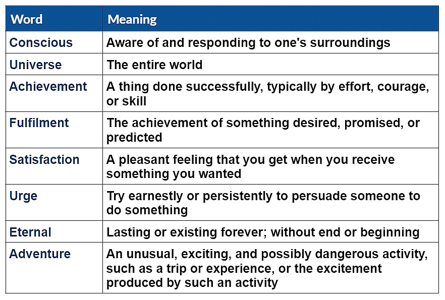 Vocabulary: The Summit Within | English Class 8