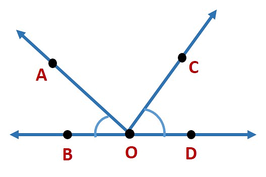 Basic Geometrical Ideas Class 6 Notes Maths Chapter 4
