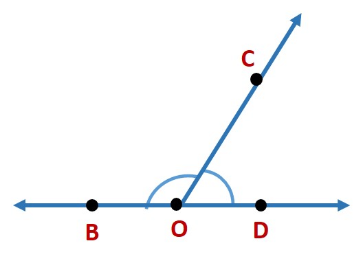 Basic Geometrical Ideas Class 6 Notes Maths Chapter 4