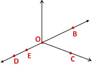 Basic Geometrical Ideas Class 6 Notes Maths Chapter 4