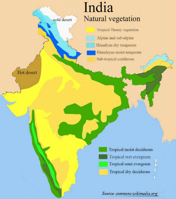 Class 6 Geography Notes - India-Climate Vegetation and Wildlife