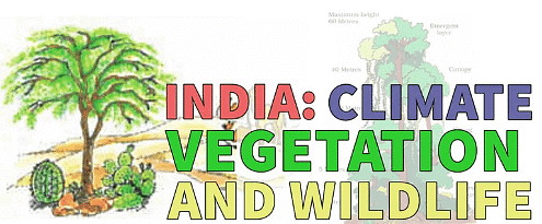 Class 6 Geography Notes - India-Climate Vegetation and Wildlife