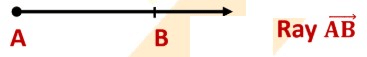 Basic Geometrical Ideas Class 6 Notes Maths Chapter 4