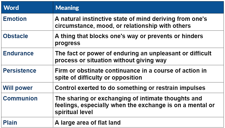 Vocabulary: The Summit Within | English Class 8