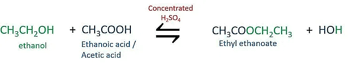 Class 10 Science Chapter 4 Previous Year Questions - Carbon and its compounds