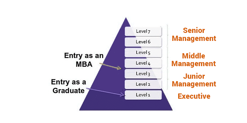 CAT Exam 2025 Handbook: Exam Date, Syllabus, Exam Pattern, Registration, Eligibility and More