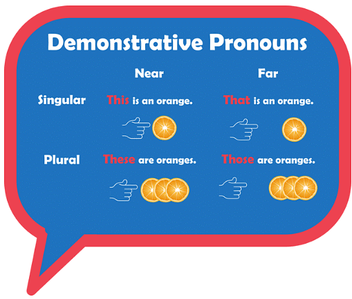 Detailed Overview: Pronouns | English Grammar Basic - Class 10