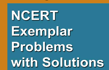 NCERT Exemplar Solutions: Linear Equations in One Variable | Mathematics (Maths) Class 8