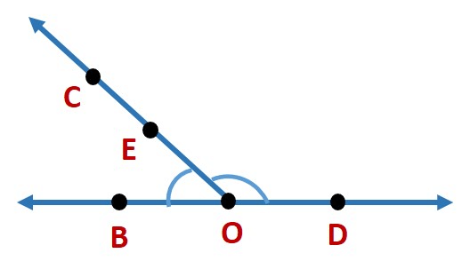 Basic Geometrical Ideas Class 6 Notes Maths Chapter 4
