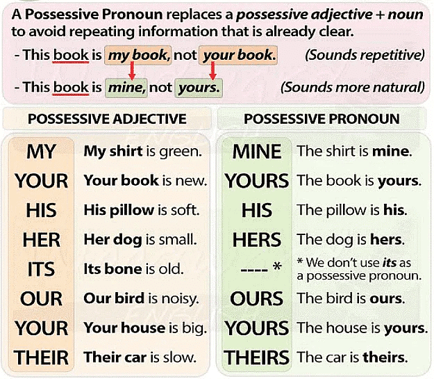 Detailed Overview: Pronouns | English Grammar Basic - Class 10