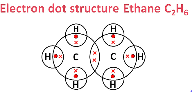 Class 10 Science Chapter 4 Previous Year Questions - Carbon and its compounds