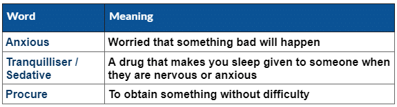 Vocabulary: Bepin Choudhury`s Lapse of Memory | English Class 8