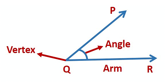Olympiad Notes: Understanding Elementary Shapes | Maths Olympiad Class 6