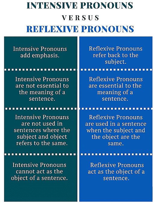 Detailed Overview: Pronouns | English Grammar Basic - Class 10