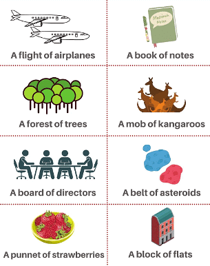 Class 10 English Grammar - Noun its Classifications Part 1