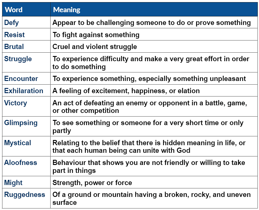 Vocabulary: The Summit Within | English Class 8