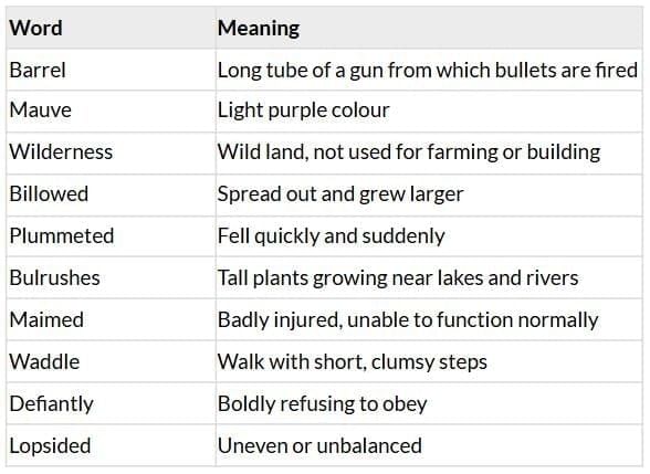 Wild Duck Chapter Notes | Gul Mohar Class 6: Book Solutions, Summaries & Worksheets