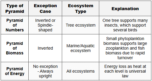 3.2 Exceptions to General Patterns