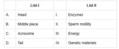 NEET Previous Year Questions (2016-2025): Human Reproduction | Biology Class 12