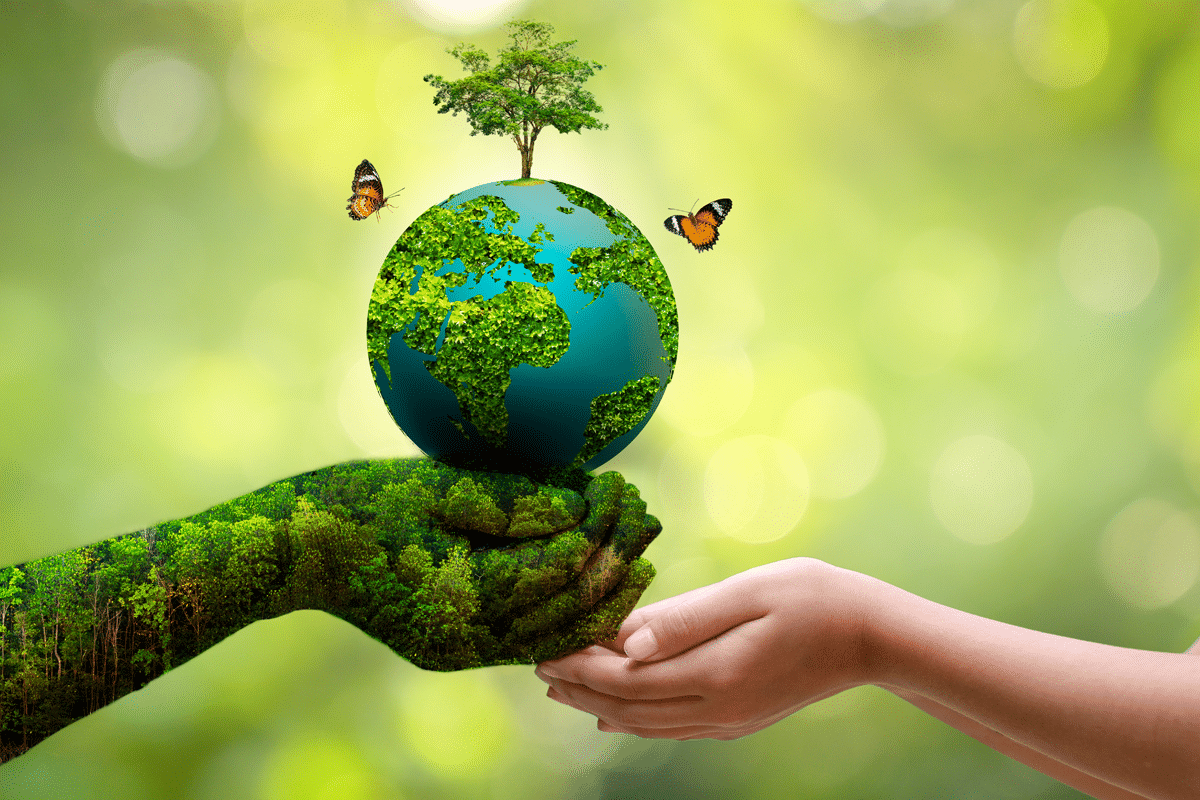 Notes: Environment | Social Studies & Pedagogy Paper 2 for CTET & TET Exams - CTET & State TET