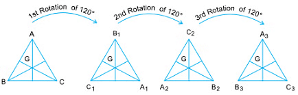 Notes: Solids Around Us | Mathematics & Pedagogy Paper 1 for CTET & TET Exams - CTET & State TET