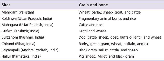 Gatherers Became Cultivators