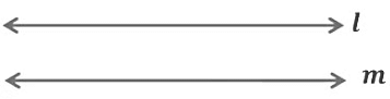 Notes: Geometry | Mathematics & Pedagogy Paper 2 for CTET & TET Exams - CTET & State TET