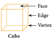 Notes: Solids Around Us | Mathematics & Pedagogy Paper 1 for CTET & TET Exams - CTET & State TET