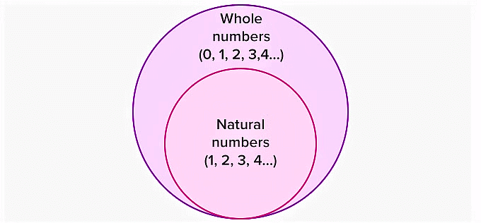 Notes: Whole Number | Mathematics & Pedagogy Paper 2 for CTET & TET Exams - CTET & State TET