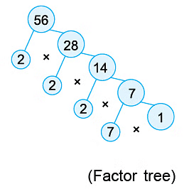 Notes: Factors & Multiples | Mathematics & Pedagogy Paper 1 for CTET & TET Exams - CTET & State TET