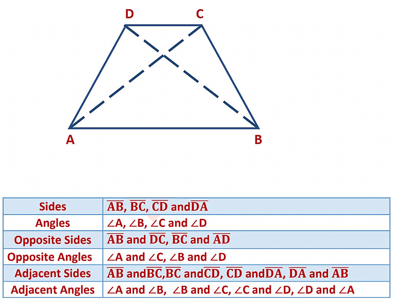 Notes: Geometry | Mathematics & Pedagogy Paper 2 for CTET & TET Exams - CTET & State TET
