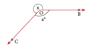 Notes: Geometry | Mathematics & Pedagogy Paper 1 for CTET & TET Exams - CTET & State TET