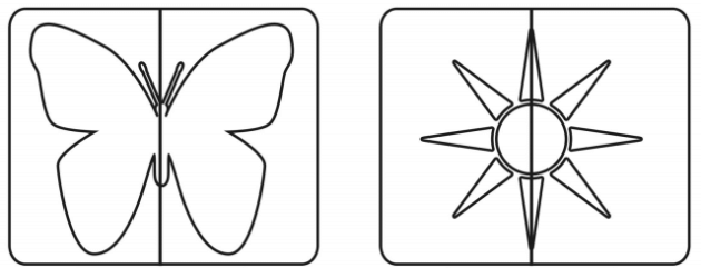 Notes: Symmetry | Mathematics & Pedagogy Paper 2 for CTET & TET Exams - CTET & State TET