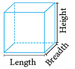 Notes: Solids Around Us | Mathematics & Pedagogy Paper 1 for CTET & TET Exams - CTET & State TET