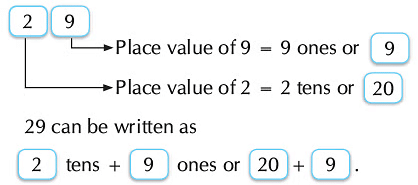 Notes: Numbers | Mathematics & Pedagogy Paper 1 for CTET & TET Exams - CTET & State TET