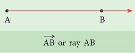 Notes: Geometry | Mathematics & Pedagogy Paper 1 for CTET & TET Exams - CTET & State TET