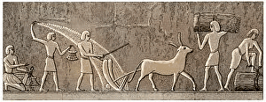 Notes: The First Farmers & Herders | Social Studies & Pedagogy Paper 2 for CTET & TET Exams - CTET & State TET