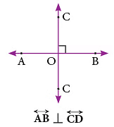 Notes: Geometry | Mathematics & Pedagogy Paper 1 for CTET & TET Exams - CTET & State TET