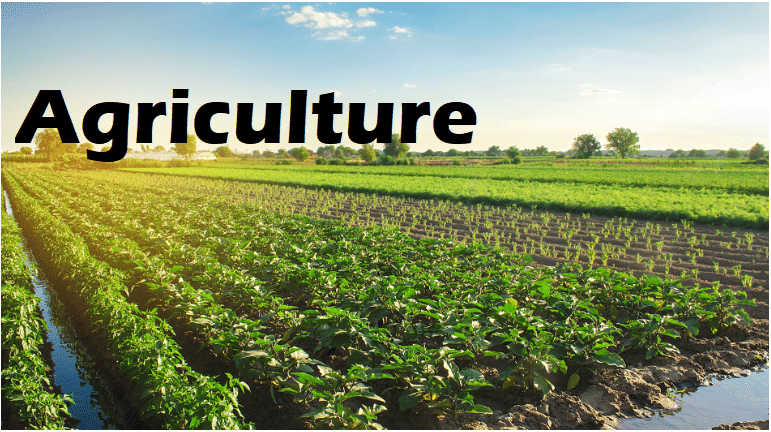 Notes: Agriculture | Social Studies & Pedagogy Paper 2 for CTET & TET Exams - CTET & State TET