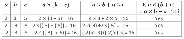 Notes: Integers | Mathematics & Pedagogy Paper 2 for CTET & TET Exams - CTET & State TET