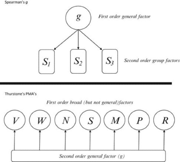 Notes: Thurstone Group Factor Theory of Intelligence | Child Development and Pedagogy for CTET Preparation - CTET & State TET